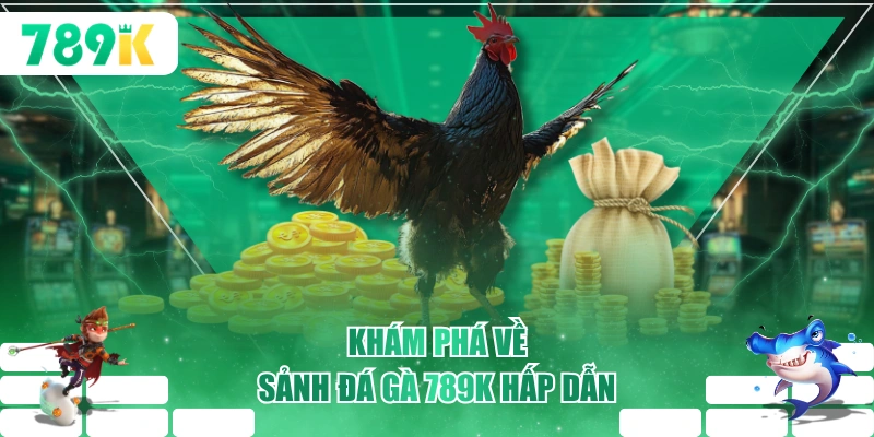 Khám phá về sảnh đá gà 789K hấp dẫn